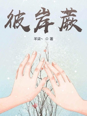 美梦成真漫画 小说